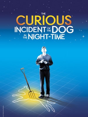 The Curious Incident of the Dog in the Night-time Pdf