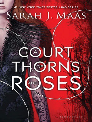a court of thorns and roses pdf