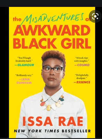 The Mis-adventures of Awkward Black Girl PDF