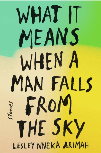 What It Means When a Man Falls from the Sky PDF